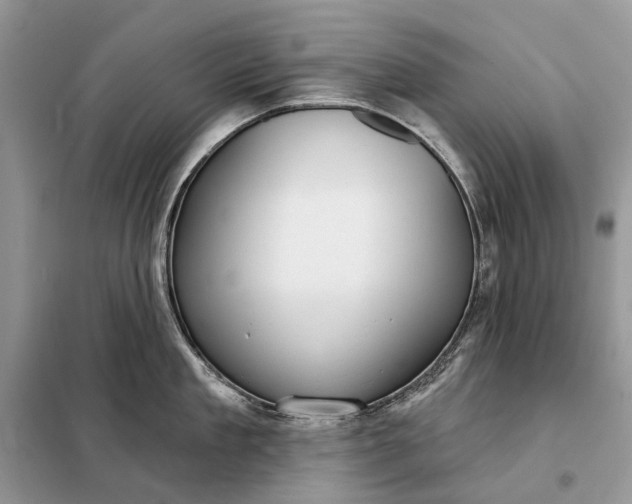 X0000098210909200805081132