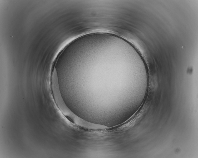 X0000098210910200805081132