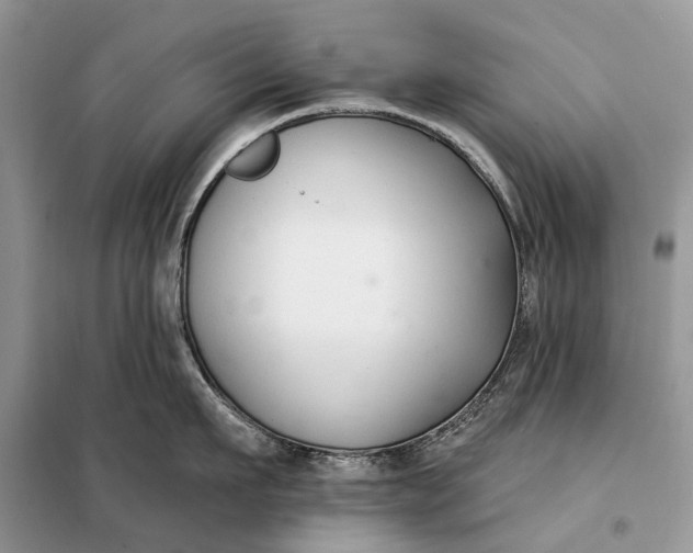 X0000098210911200805081132
