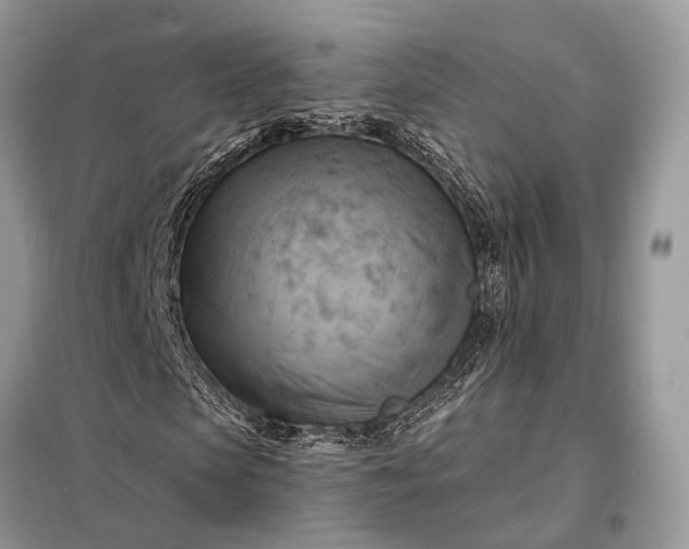 X0000098210913200805081131