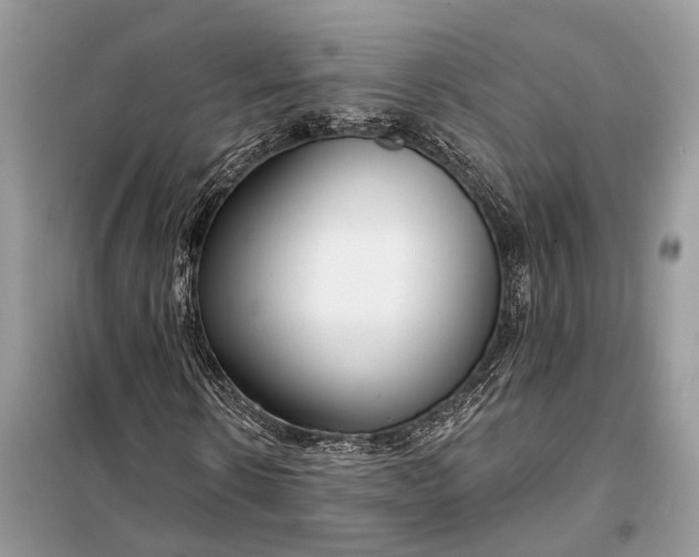 X0000098210914200805081131