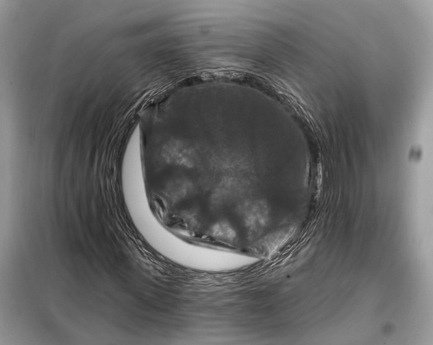 X0000098210915200805081131
