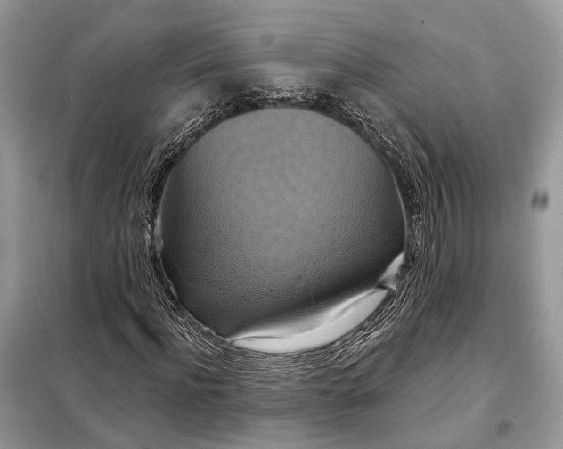 X0000098210916200805081131