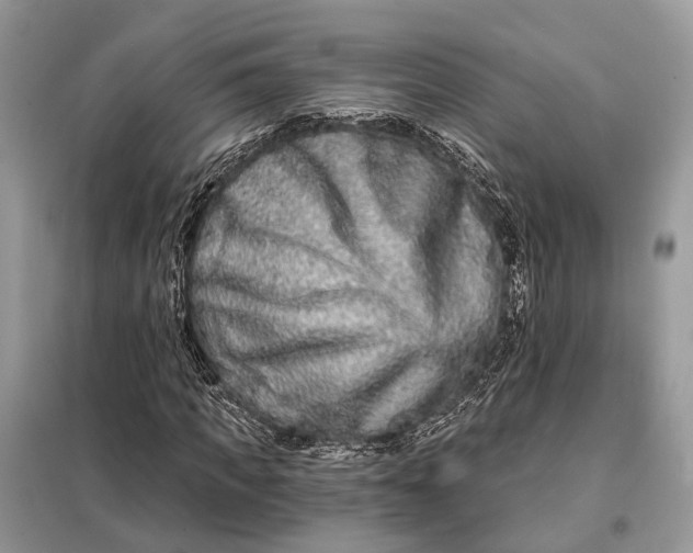 X0000098210917200805081131