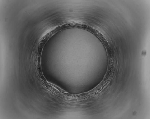 X0000098210919200805081131