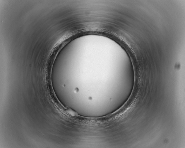 X0000098210922200805081131