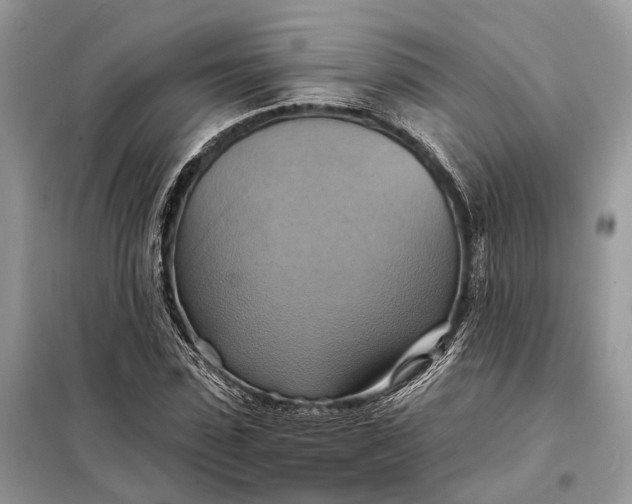 X0000098210923200805081131