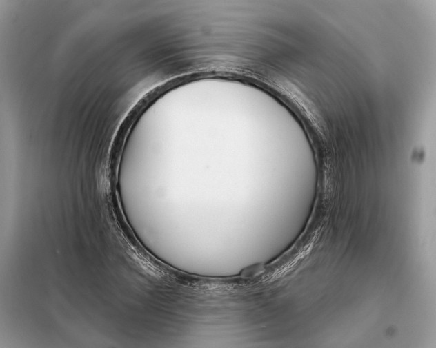X0000098210924200805081131