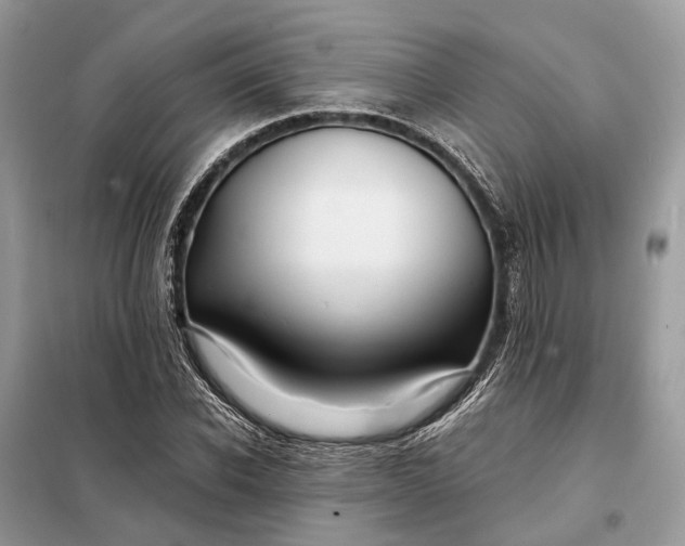 X0000098210926200805081131