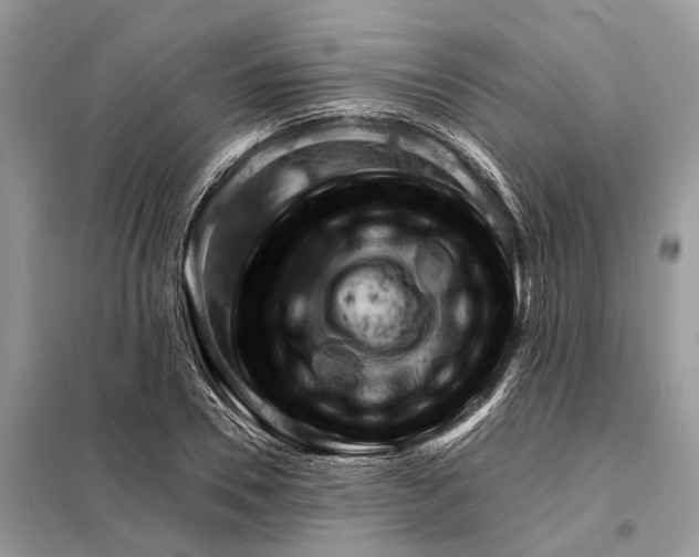 X0000098210930200805081131