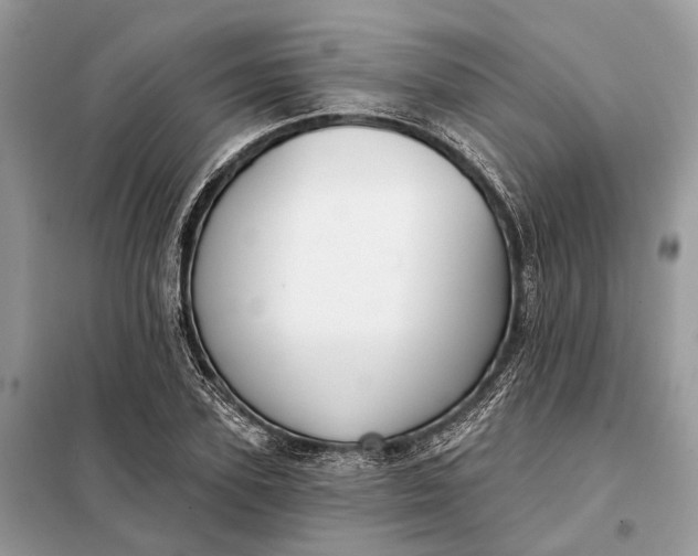 X0000098210931200805081131