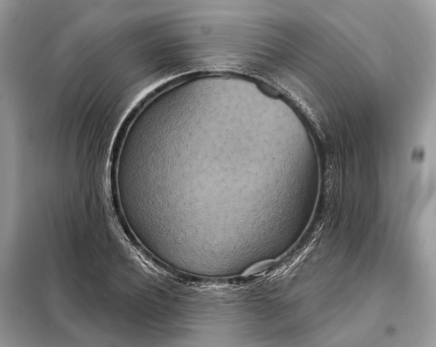 X0000098210932200805081131