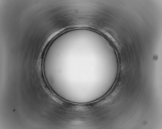 X0000098210933200805081131
