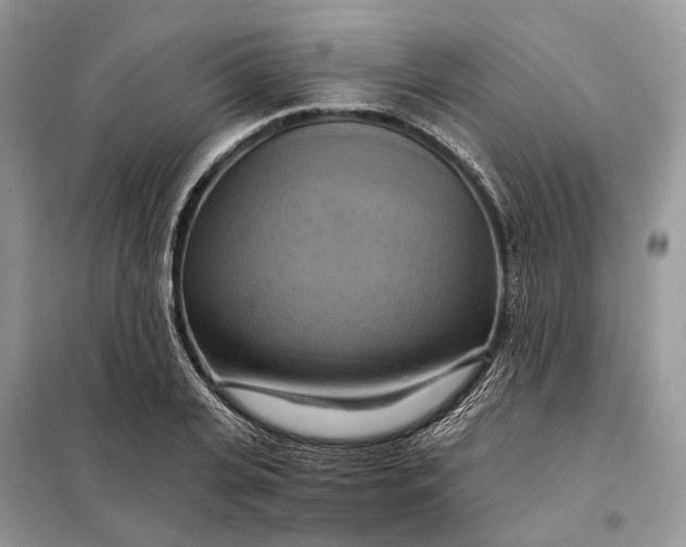 X0000098210935200805081131