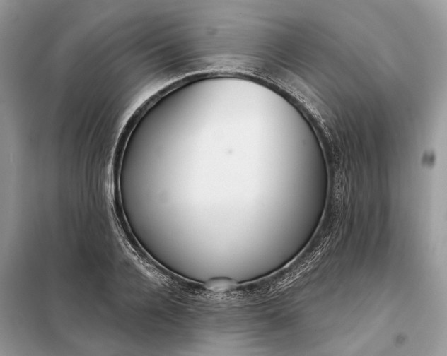 X0000098210936200805081131