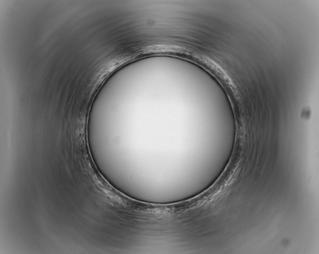X0000098210937200805081131