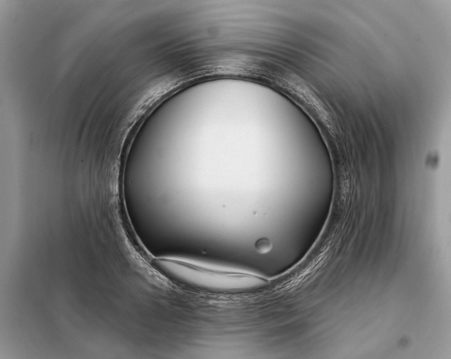 X0000098210938200805081131
