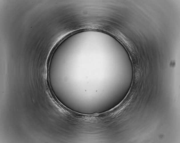 X0000098210940200805081131