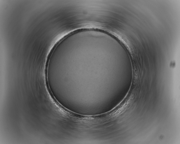 X0000098210943200805081131