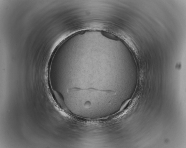 X0000098210944200805081131