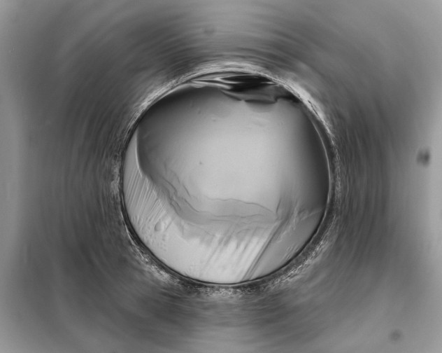 X0000098210945200805081131