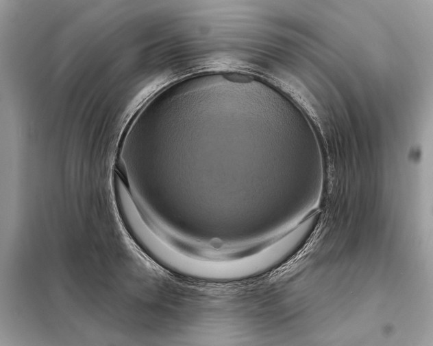 X0000098210946200805081131