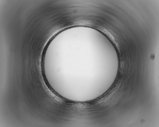 X0000098210947200805081131