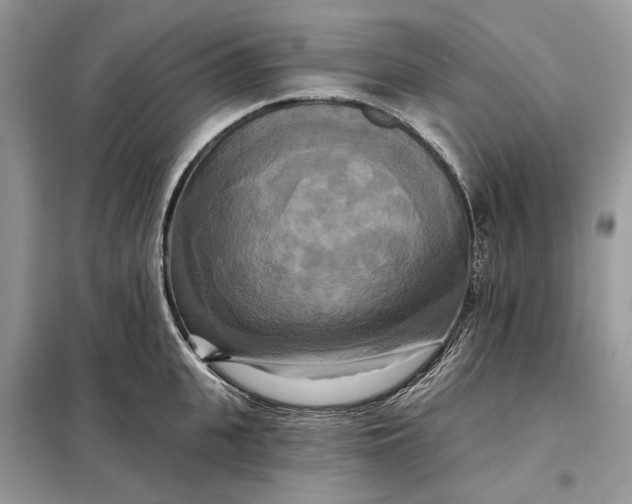 X0000098210951200805081132