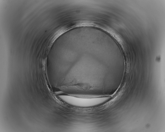 X0000098210953200805081132