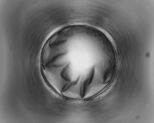X0000098210957200805081132