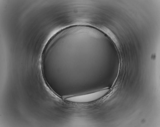 X0000098210958200805081132
