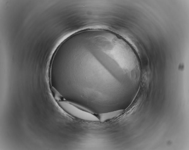 X0000098210959200805081132
