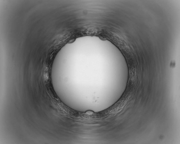 X0000098210962200805081131