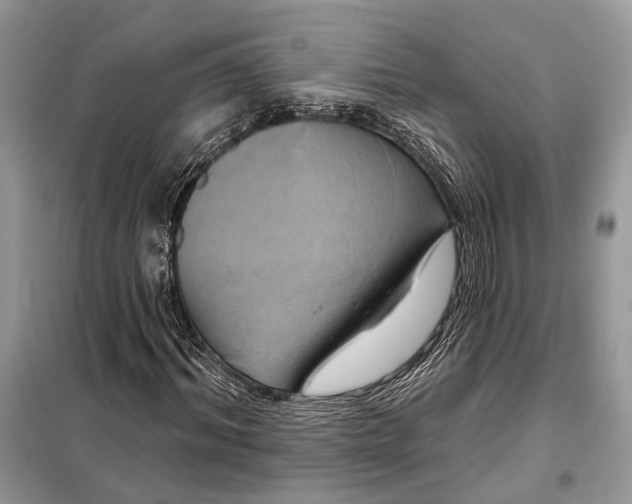 X0000098210964200805081131