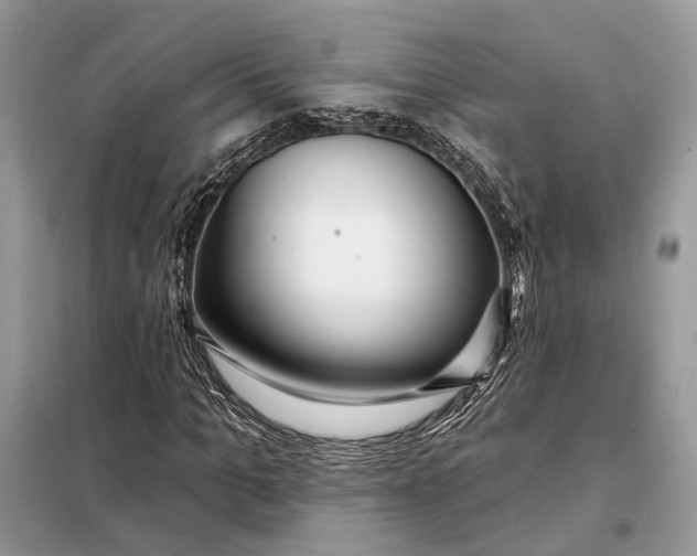 X0000098210965200805081131