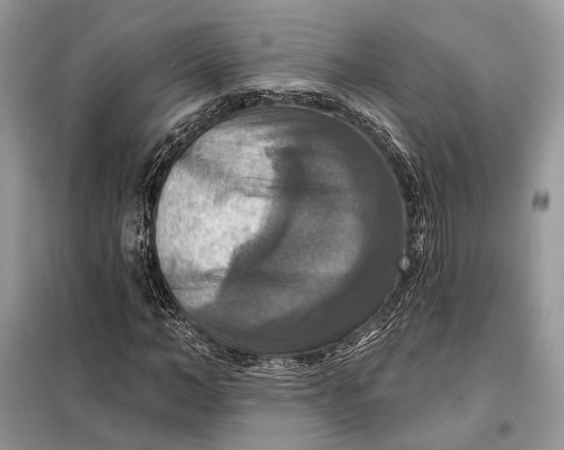 X0000098210966200805081131
