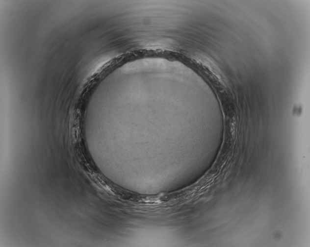 X0000098210968200805081131
