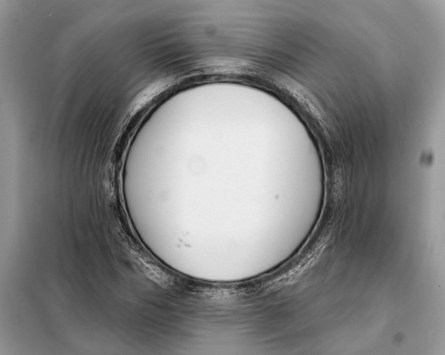 X0000098210970200805081131