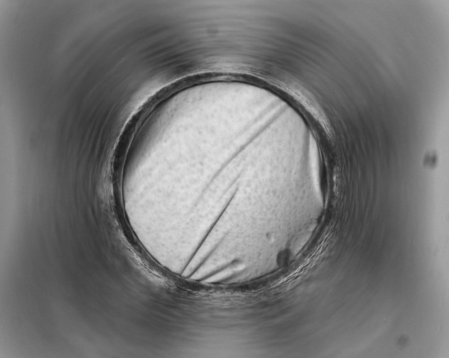 X0000098210972200805081131