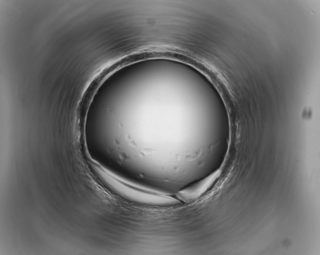 X0000098210973200805081131