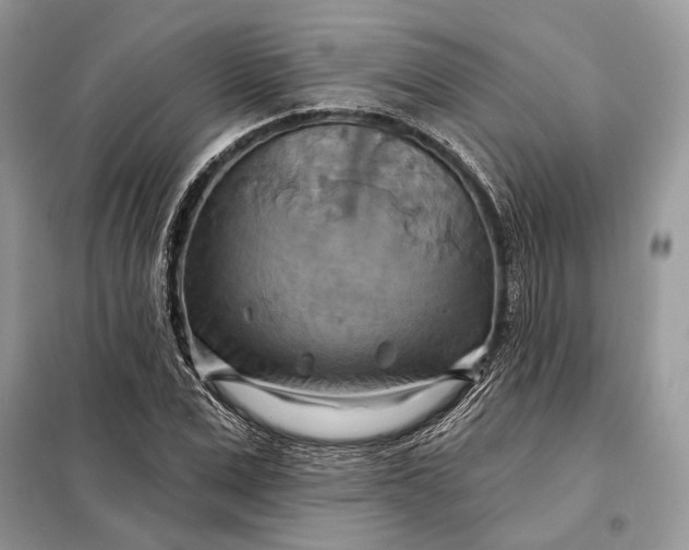 X0000098210975200805081131