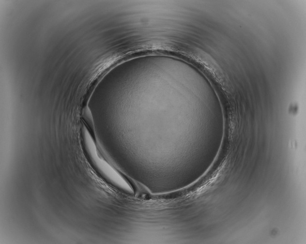 X0000098210977200805081131