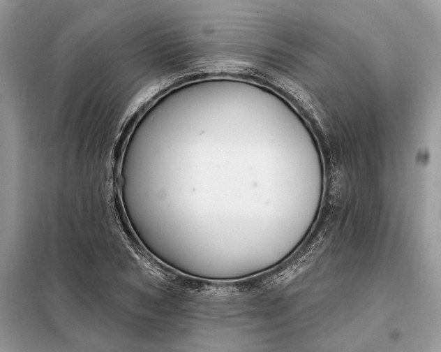 X0000098210978200805081131