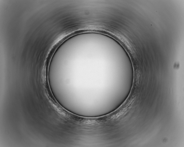 X0000098210982200805081131