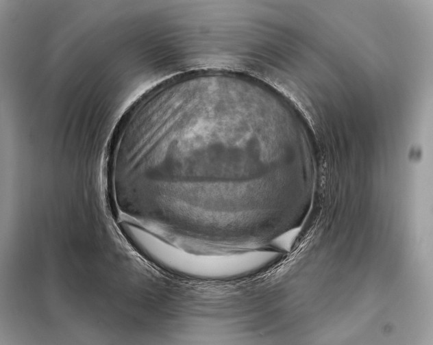 X0000098210983200805081131
