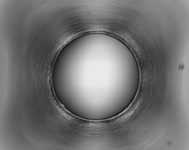 X0000098210985200805081131