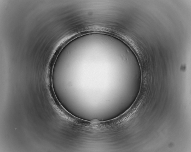X0000098210987200805081131