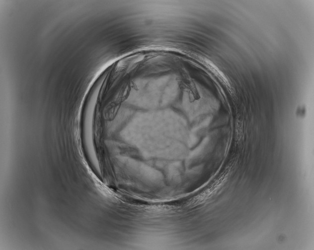X0000098210988200805081131