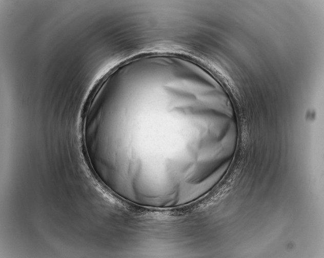 X0000098210990200805081130