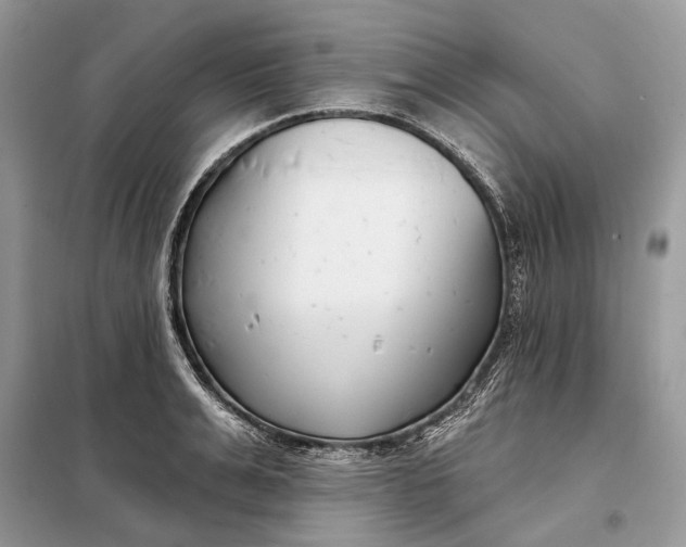 X0000098210991200805081130